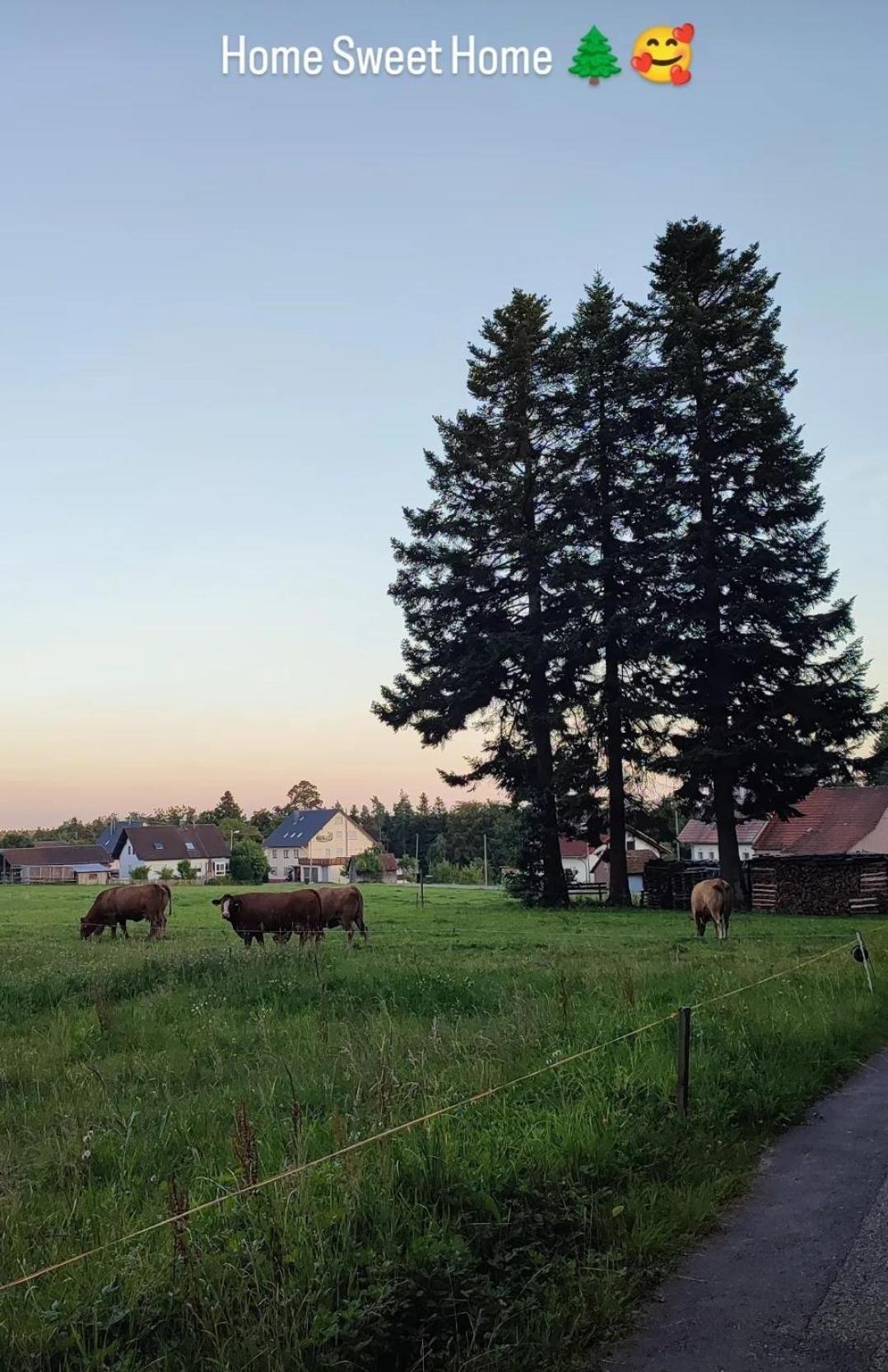Chickenhill Blackforest, Grosse Ferienwohnung Im Schwarzwald Bad Wildbad Bagian luar foto