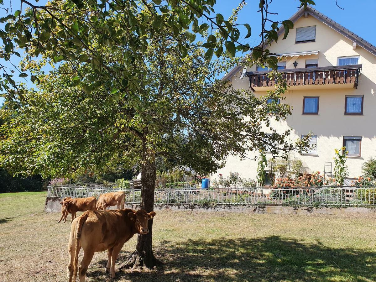 Chickenhill Blackforest, Grosse Ferienwohnung Im Schwarzwald Bad Wildbad Bagian luar foto